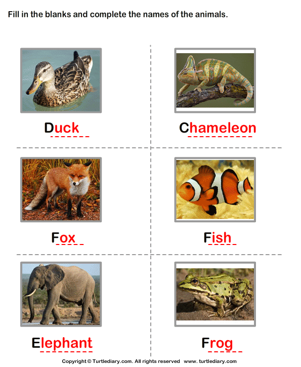 Write the names of the animals - TurtleDiary.com