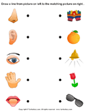 Humans Worksheets - Kindergarten | Turtle Diary