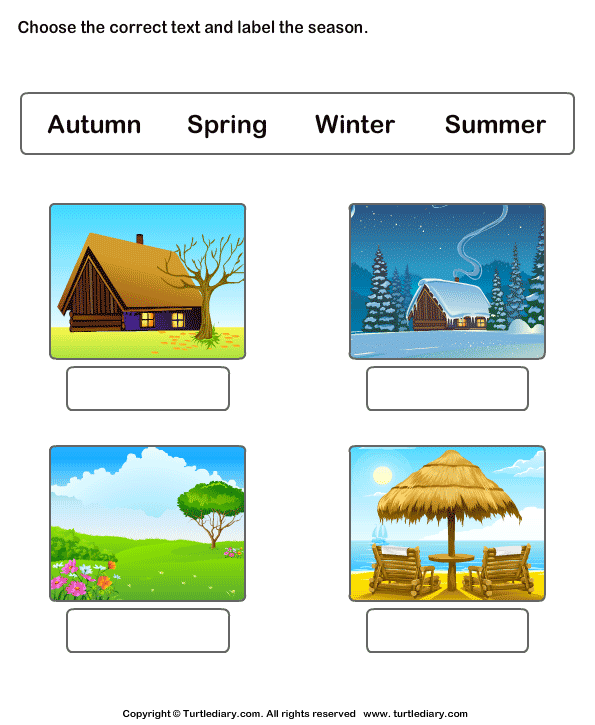 label-the-seasons-worksheet-1-turtle-diary
