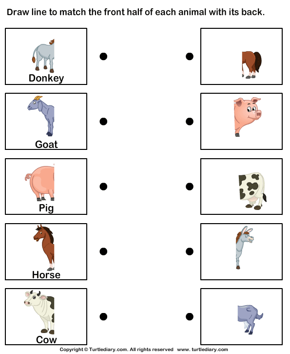 match-animal-body-parts-worksheet-1-turtle-diary