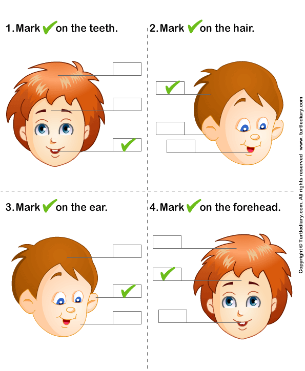 identify the main parts of an essay How to figure out the main point of your essay your main point is the highway of your essay and everything you use to defend your main point are little side. identify the main parts of an essay How to figure out the main point of your essay your main point is the highway of your essay and everything you use to defend your main point are little side.