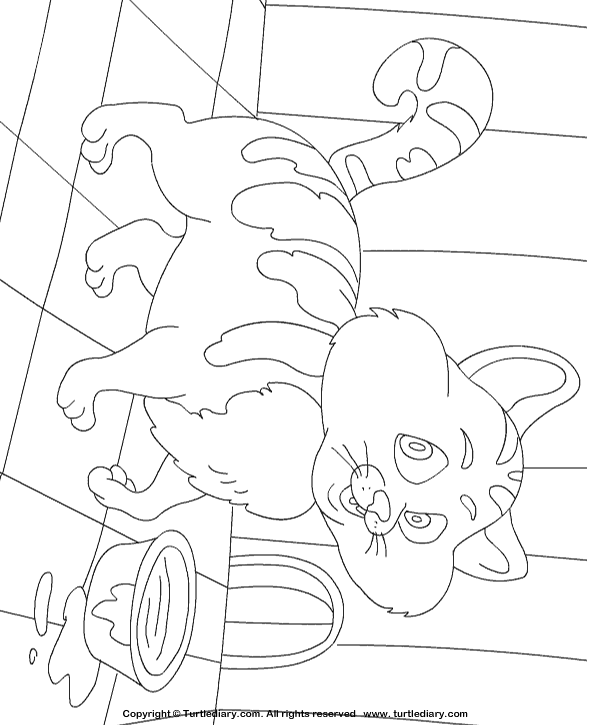 Cat Coloring Page