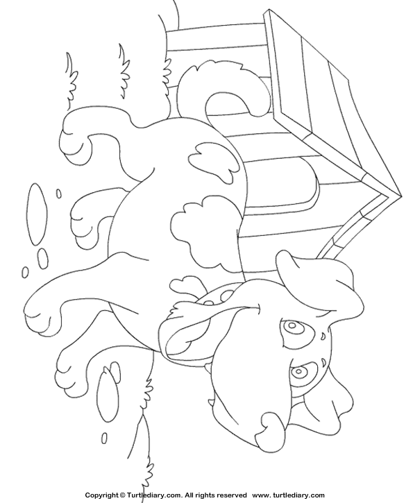Puppy Coloring Sheet | Turtle Diary