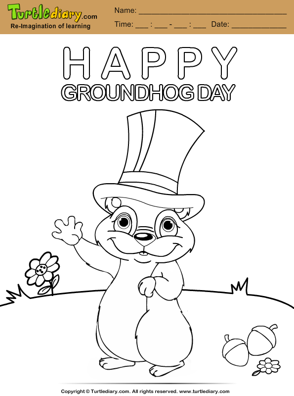 Groundhog With Hat Coloring Sheet Turtle Diary