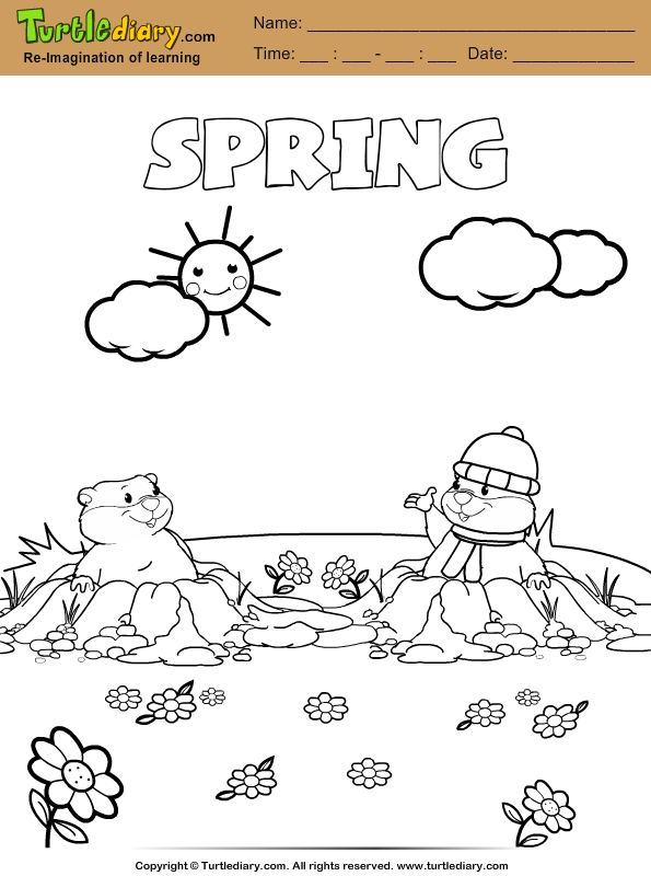 Spring Groundhog Coloring Page