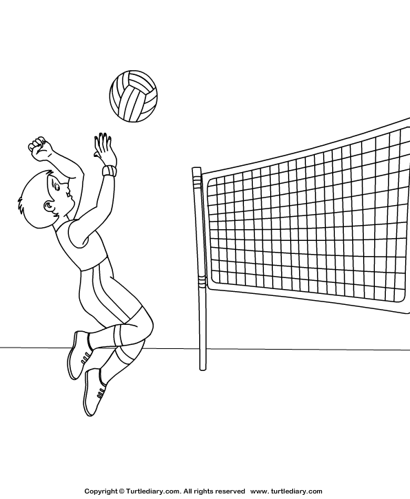 Volleyball Coloring Sheet | Turtle Diary