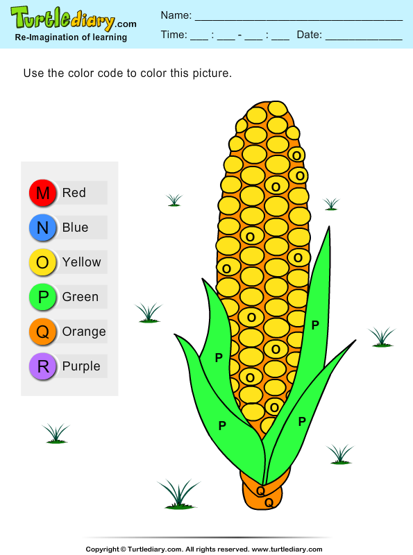 Color by Letter Corn Answer