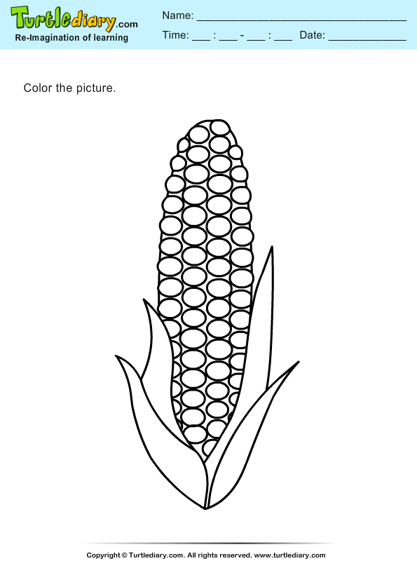 Color a Corn