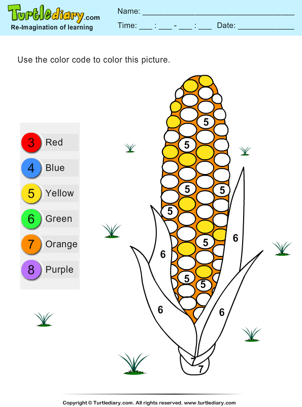 Color by Number Corn