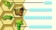 Butterfly Life Cycle Labeling