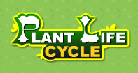 Plant Life Cycle - Plants - Kindergarten