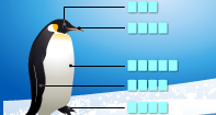 Penguin Labeling  - Picture Games - Second Grade