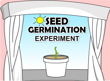 for worksheet and kindergarten plants big small Seed  kids Science Experiments  Fun for Germination Experiment