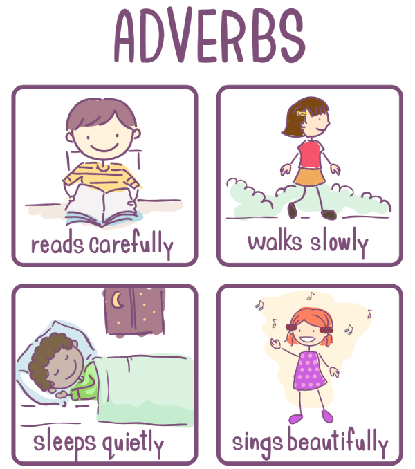 Adverbs Of Manner Turtle Diary