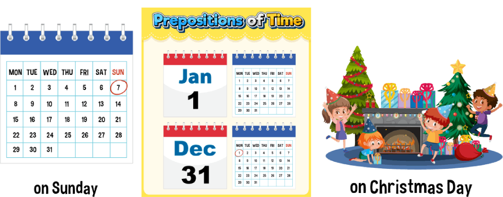 prepositions-of-time-turtle-diary