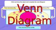 Venn Diagram - Geometry - Second Grade
