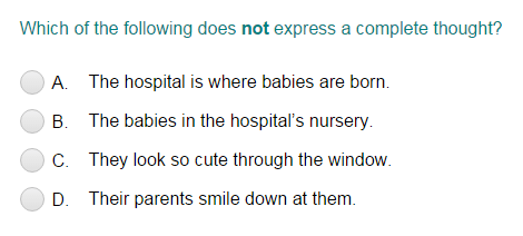 Identifying a Sentence as Complete or Incomplete Part 4 Quiz - Turtle Diary