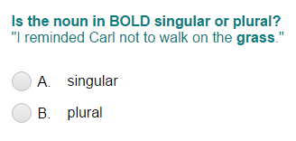 Identifying Noun Form as Singular or Plural Part 1