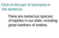 Identifying Correct Synonym Pair Part 2