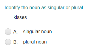 Identifying a Noun as Singular or Plural