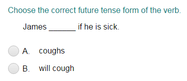 Completing a Sentence Using Future Tense Form of the Verb
