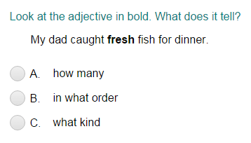 Identifying What the Adjective Tells Part 1