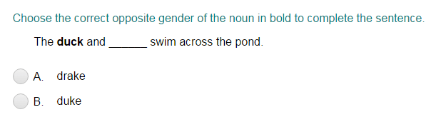Completing a Sentence with the Correct Opposite Gender of a Noun