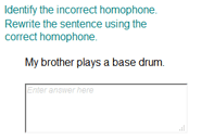 Rewriting the Sentence Using Correct Homophone