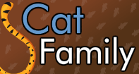 Cat Family Part 2 Video