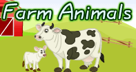 Farm Animals Video