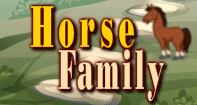 Horse Family Part 1 Video