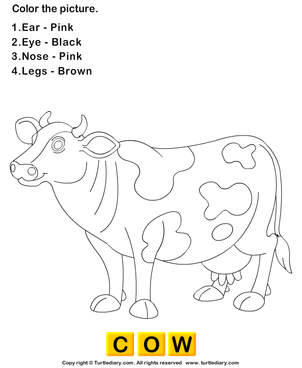 Color sheet