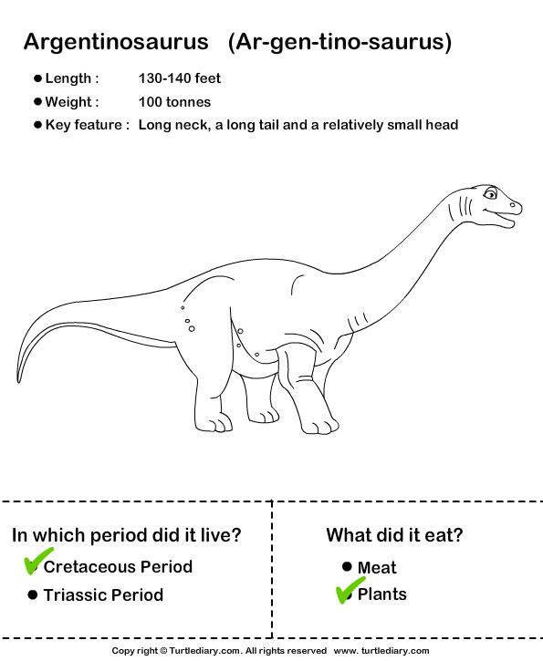 about dinosaurs worksheet turtle diary