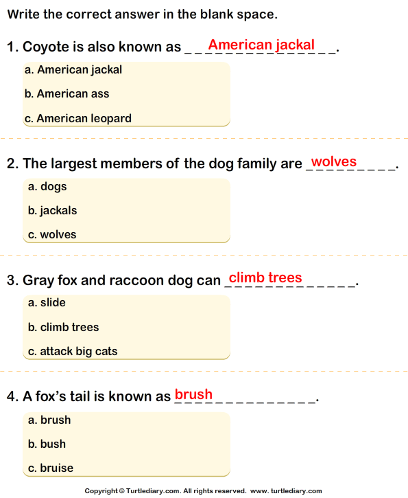 Download All About Dogs Worksheet - Turtle Diary