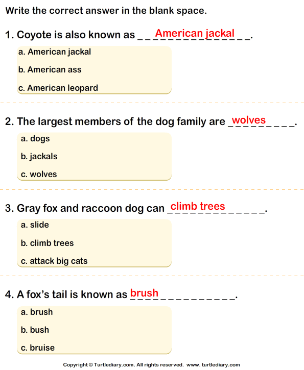 All About Dogs Worksheet Turtle Diary