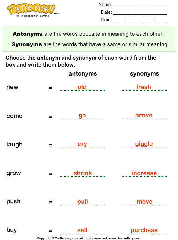 Choose the Antonym and Synonym of Words Worksheet - Turtle Diary