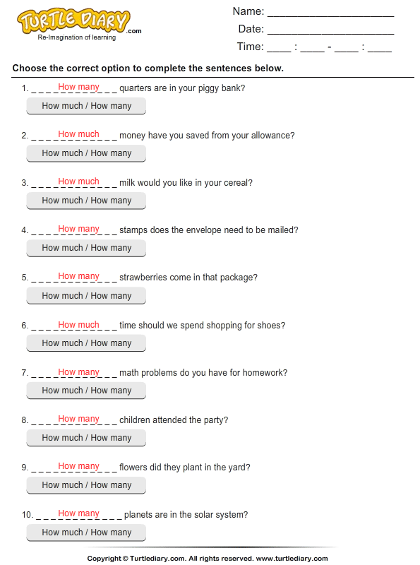 choose-between-how-much-and-how-many-worksheet-turtle-diary