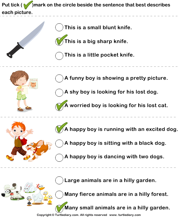 Choose Sentence With Correct Adjectives For Pictures Worksheet Turtle 