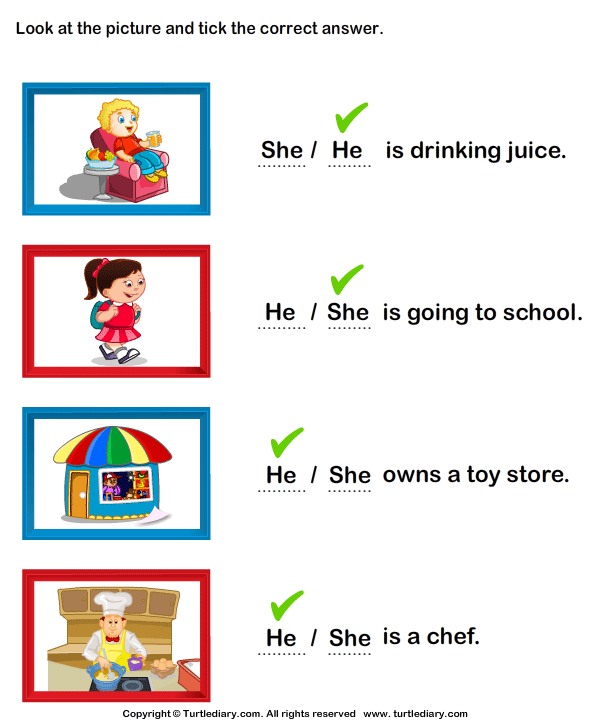 Practice Sheet She Or He Kindergarten : Pronoun Worksheets He She They - Free Worksheets Samples / Let's see how he does in class.