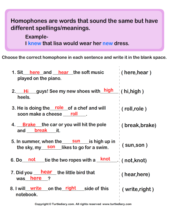 choose the correct homophone in each sentence worksheet