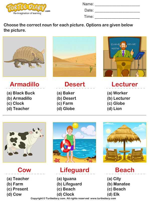 Choose The Noun For Each Picture Worksheet Turtle Diary