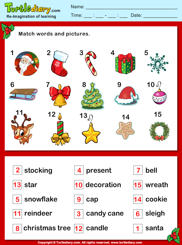 sheet crossword blank Worksheet Pictures  Christmas  Turtle Vocabulary and Words