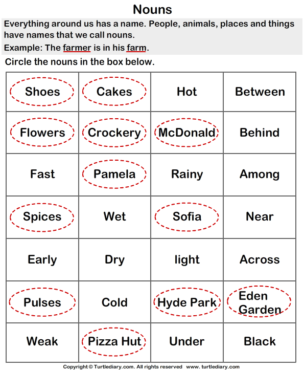 circle all the nouns in the words given worksheet turtle