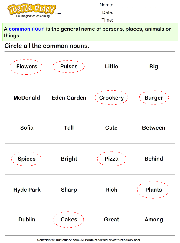 circle the common nouns in words given below worksheet turtle diary