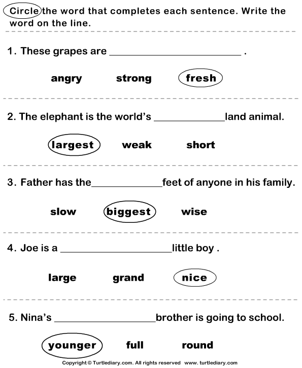 exercises of pdf english keys use with Completes that Correct Circle the Adjective Sentence the