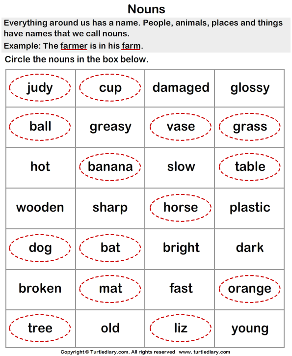 circle the words that are noun worksheet turtle diary