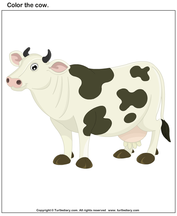 Color the Cow Worksheet - Turtle Diary