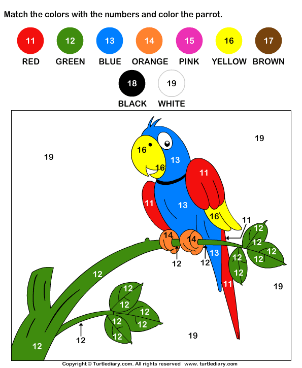 color-the-parrot-by-numbers-worksheet-turtle-diary