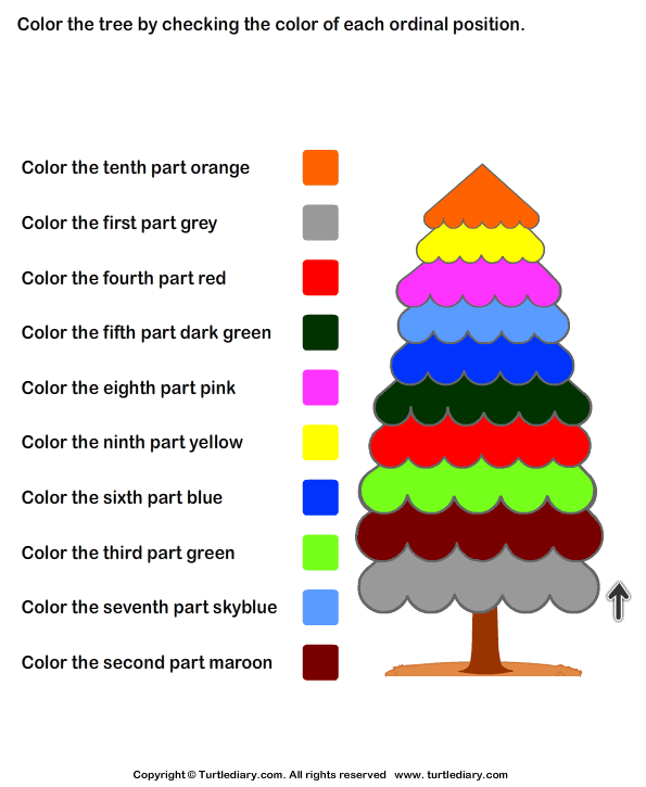 Color the Tree by Checking Ordinal Position Worksheet - Turtle Diary