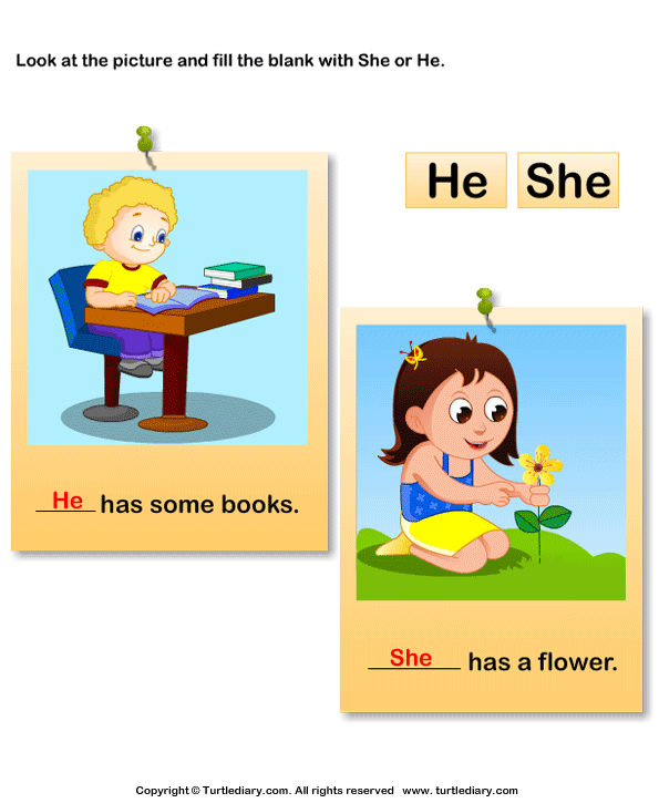 Complete the Sentence Using She or He Worksheet - Turtle Diary